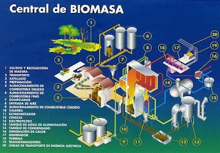 central-biomasa.png